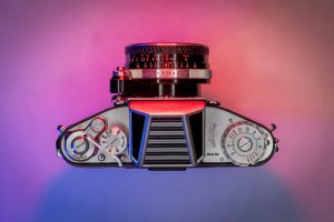 20250112-DSC07524.jpg - Photography by Michael Halberstadt